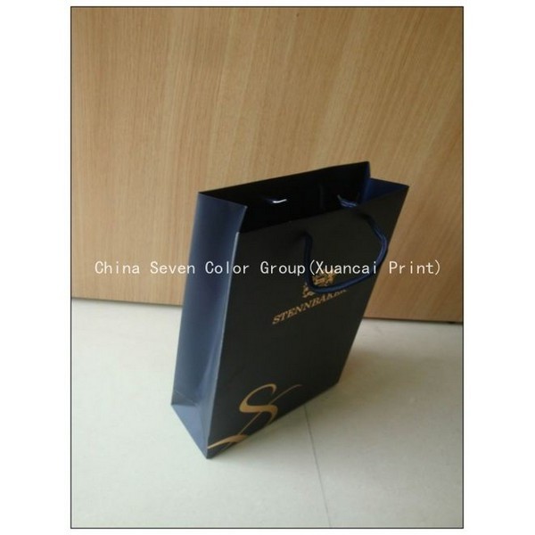 Professional Supplier Of Paper Bag 